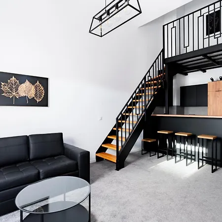 Modern With Sauna Apartment